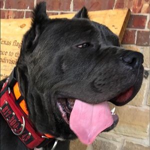 Meet your Posher, Chance